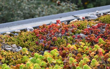 the cost of Magham Down green roof installation
