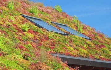 Magham Down living roof systems